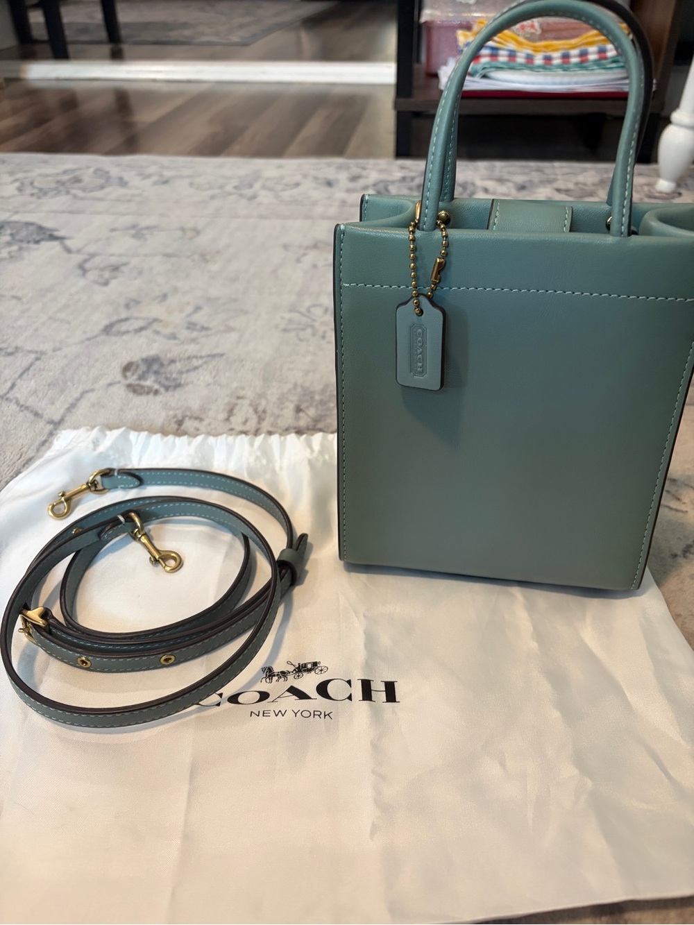 Coach Mini Top Handle Bag in Sage